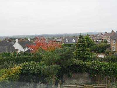 Picture 15